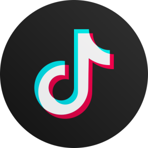 TikTok Logo.png